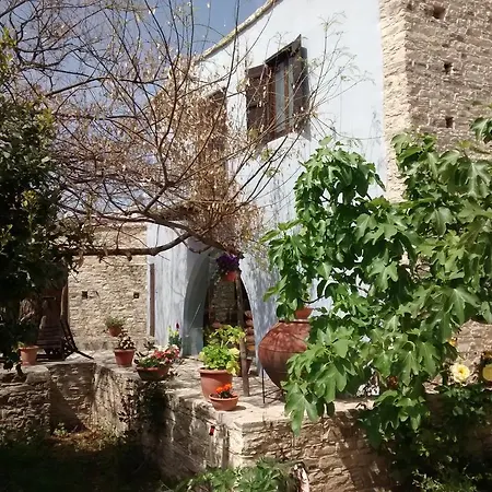 Garden Kamara House Gospodarstwo wiejskie *